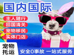 济南遥墙航空快运国际宠物托运 【国